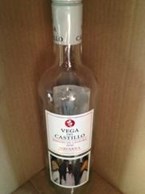 Vega Del Castillo 2010